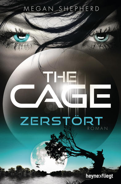 The Cage - Zerstört