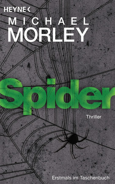 Spider