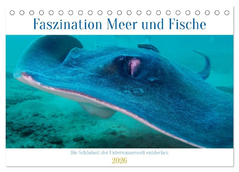 Faszination Meer und Fische (Tischkalender 2026 DIN A5 quer), CALVENDO Monatskalender