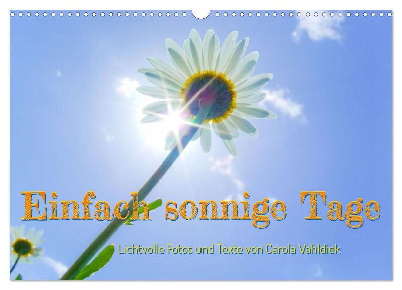 Einfach sonnige Tage (Wandkalender 2026 DIN A3 quer), CALVENDO Monatskalender