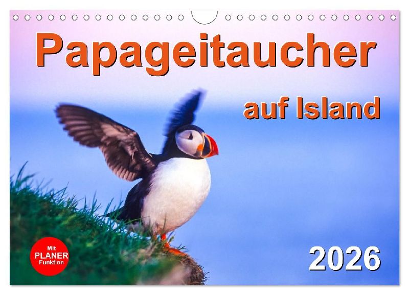 Papageitaucher auf Island (Wandkalender 2026 DIN A4 quer), CALVENDO Monatskalender