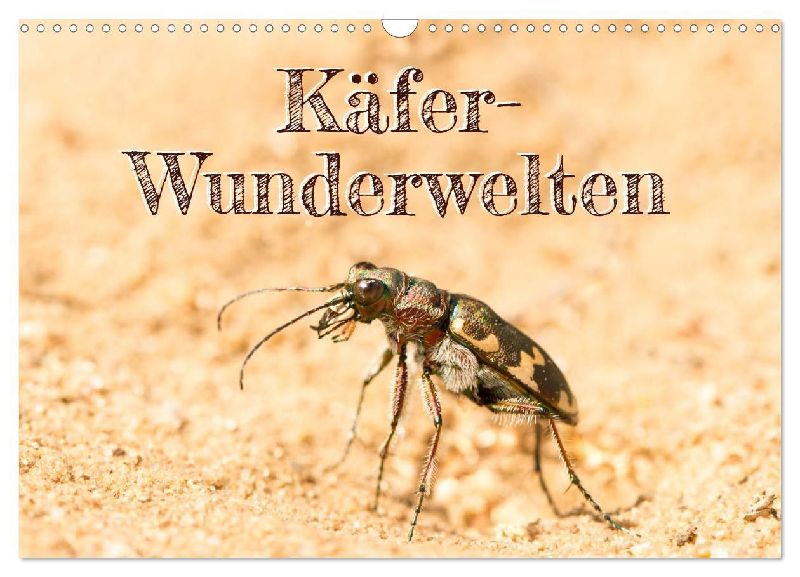 Käfer-Wunderwelten (Wandkalender 2026 DIN A3 quer), CALVENDO Monatskalender