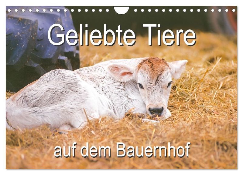 Geliebte Tiere auf dem Bauernhof (Wandkalender 2026 DIN A4 quer), CALVENDO Monatskalender