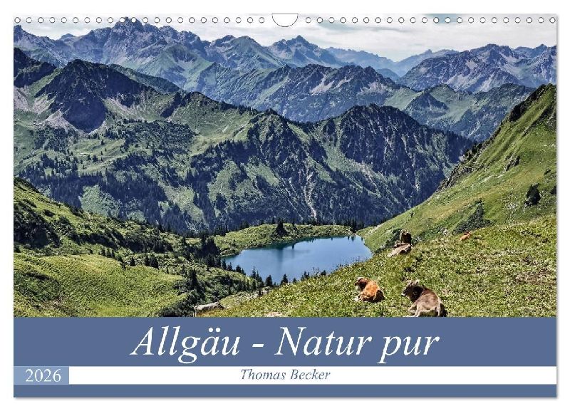 Allgäu - Natur pur (Wandkalender 2026 DIN A3 quer), CALVENDO Monatskalender