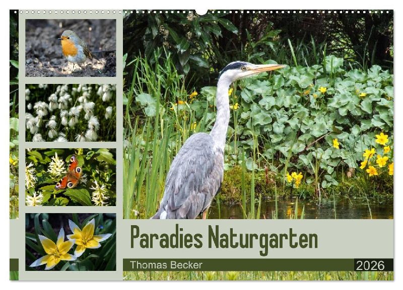 Paradies Naturgarten (Wandkalender 2026 DIN A2 quer), CALVENDO Monatskalender