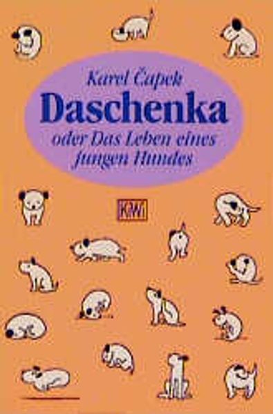Daschenka oder das Leben eines jungen Hundes