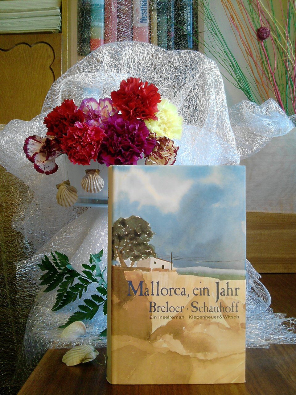 Mallorca, ein Jahr