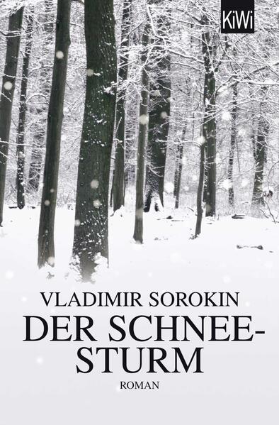 Der Schneesturm