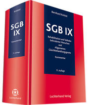 SGB IX Kommentar