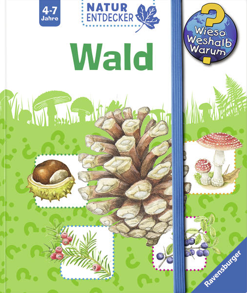 Wald