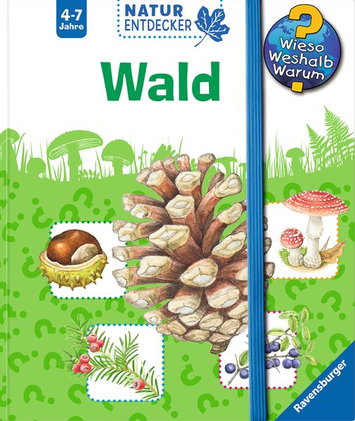 Wald