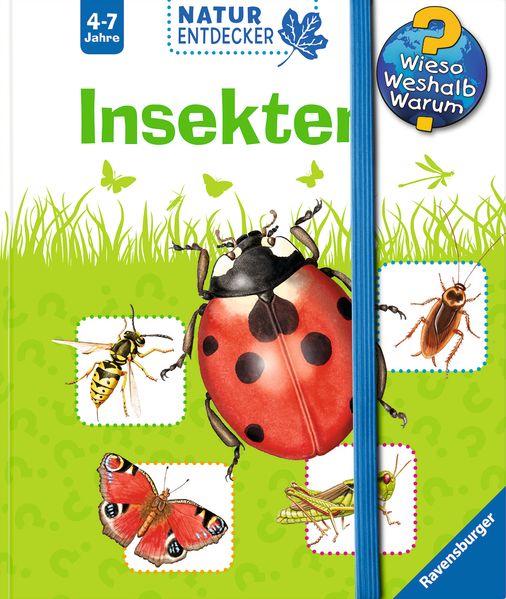 Insekten