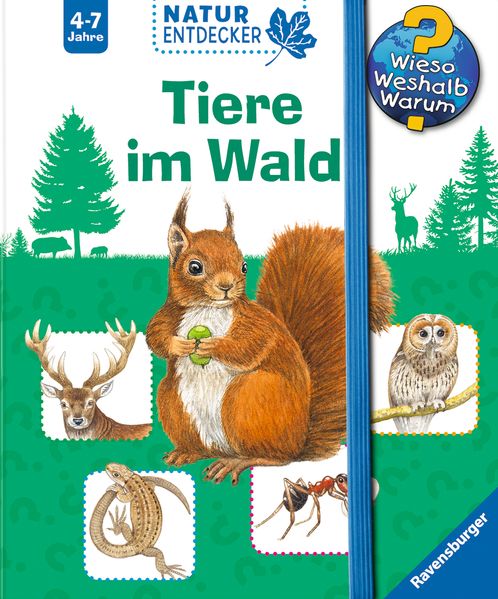Tiere im Wald