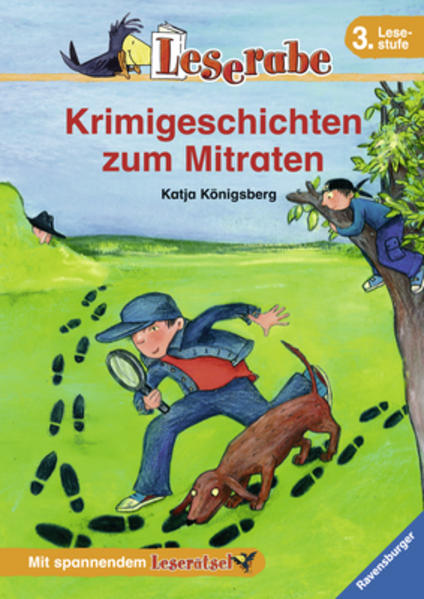 Krimigeschichten zum Mitraten