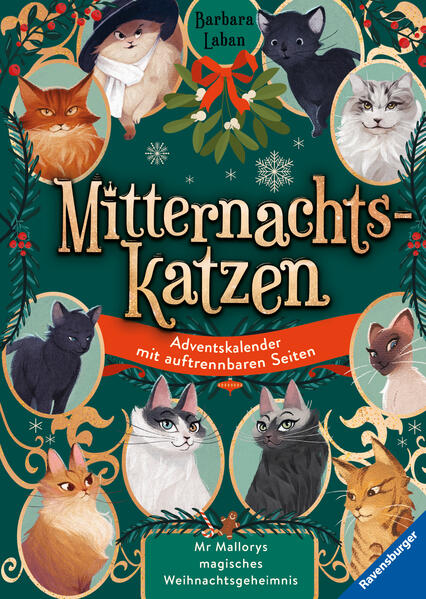 Unbekannter Titel