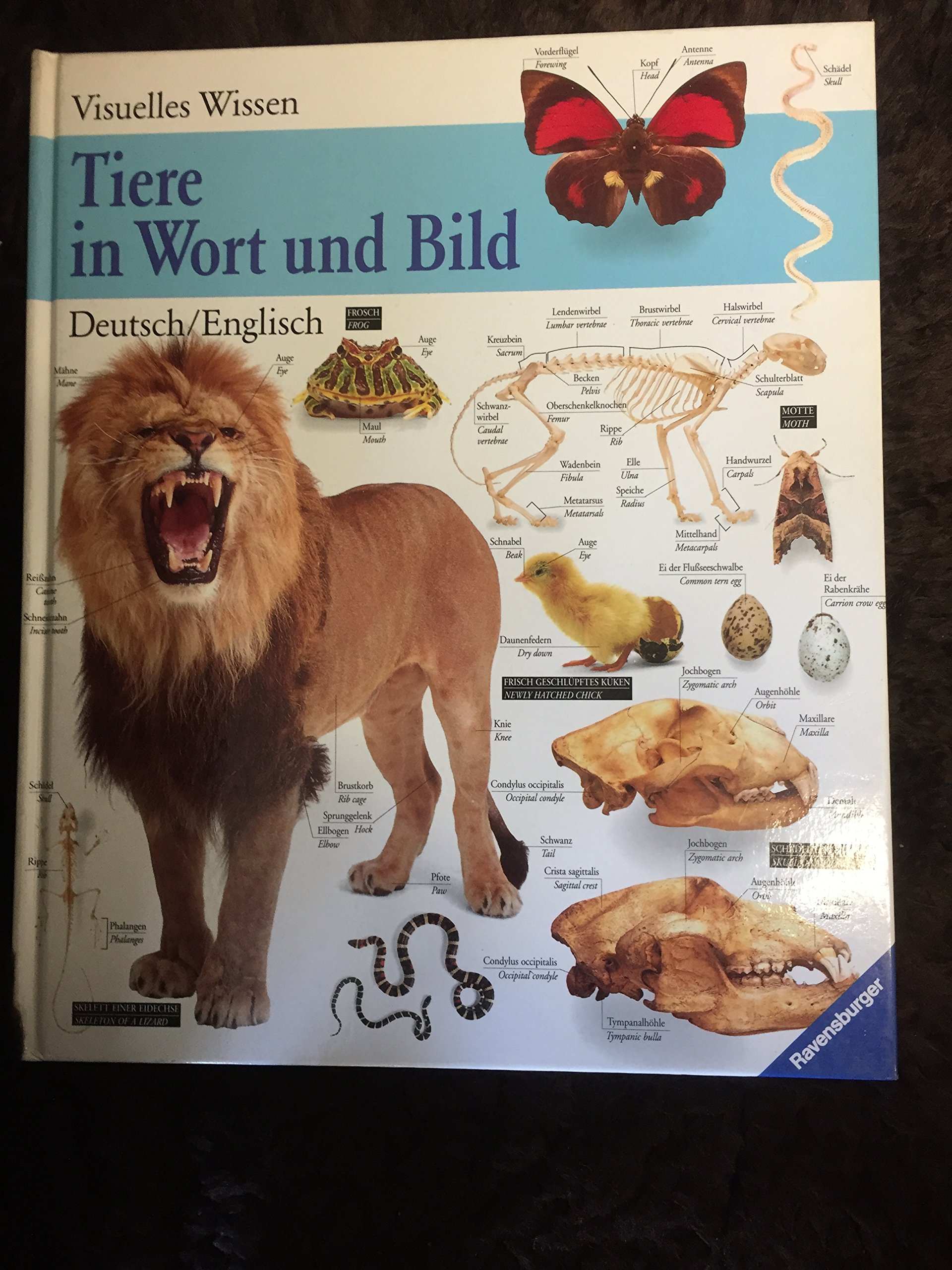 Tiere in Wort und Bild (Deutsch/Englisch)