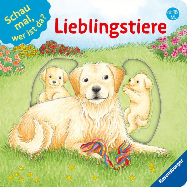 Schau mal, wer ist da? Lieblingstiere