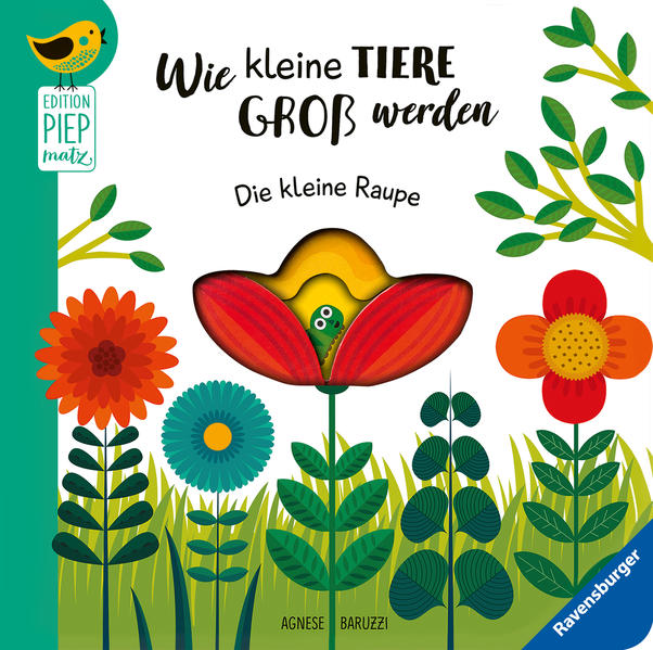 Edition Piepmatz: Wie kleine Tiere groß werden: Die kleine Raupe