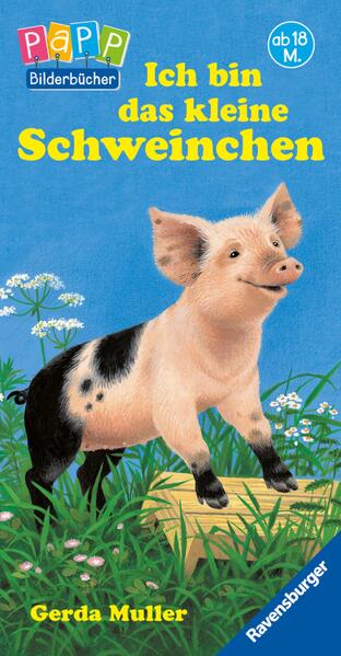 Ich bin das kleine Schweinchen