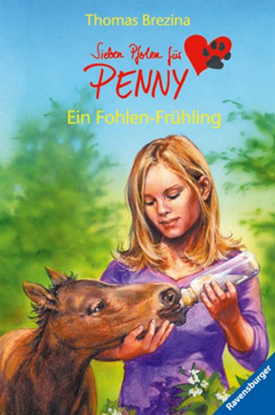 Ein Fohlen-Frühling