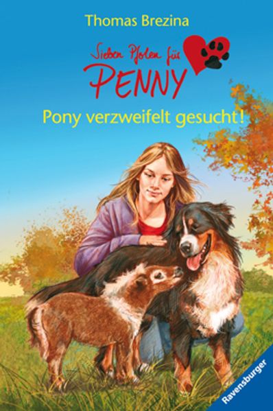 Pony verzweifelt gesucht!