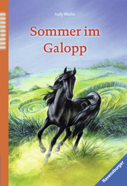 Sommer im Galopp