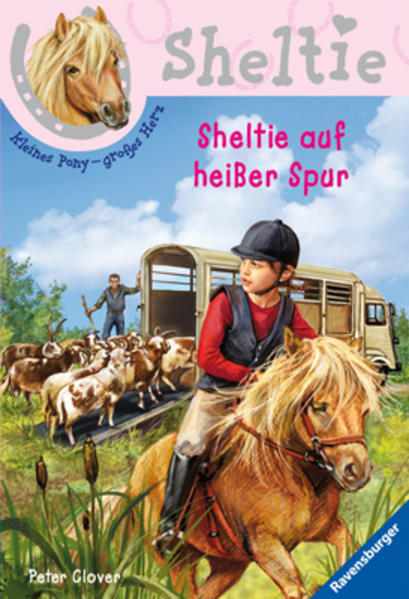 Sheltie auf heißer Spur