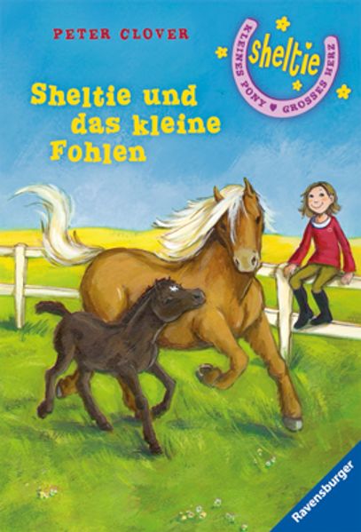 Sheltie und das kleine Fohlen