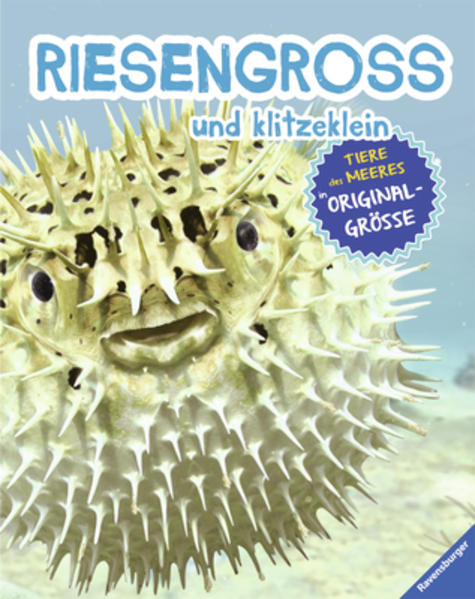 RIESENGROSS und klitzeklein: Tiere des Meeres in Originalgröße