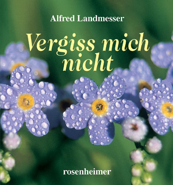 Vergiss mich nicht