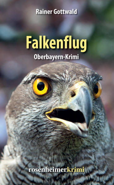 Falkenflug - Oberbayern-Krimi