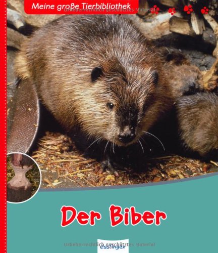 Der Biber