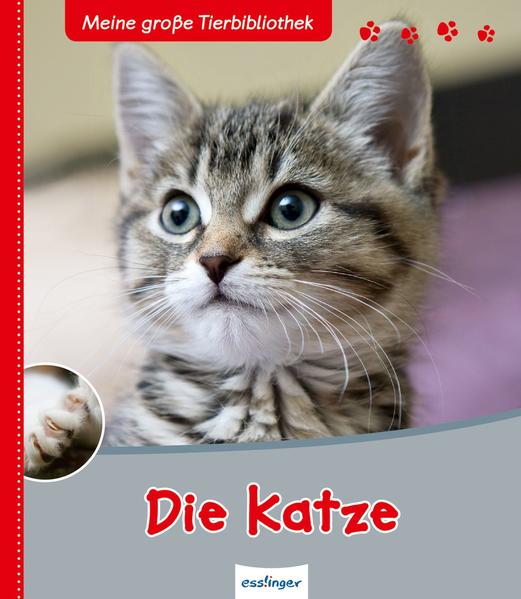 Meine große Tierbibliothek: Die Katze