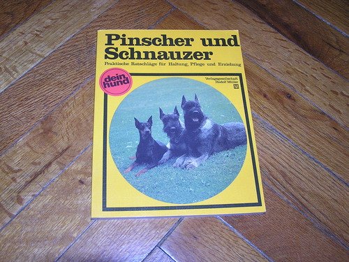 Pinscher und Schnauzer