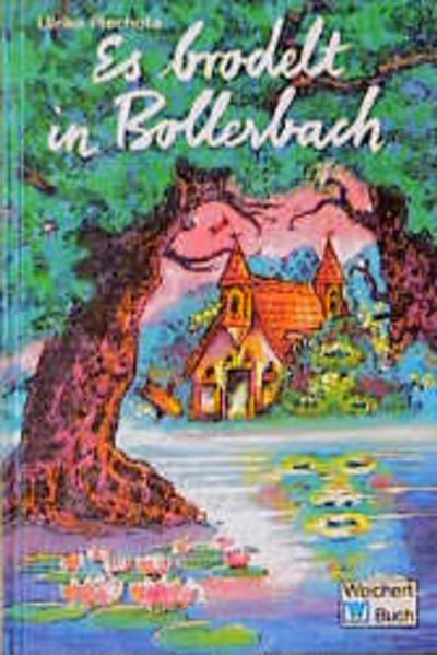 Es brodelt in Bollerbach