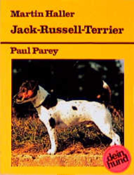 Jack-Russell-Terrier