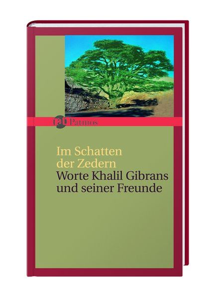 Im Schatten der Zedern