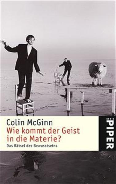 Wie kommt der Geist in die Materie?