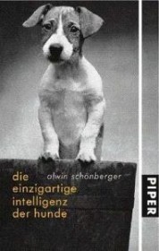 Die einzigartige Intelligenz der Hunde