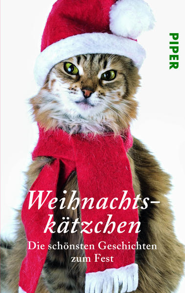 Weihnachtskätzchen