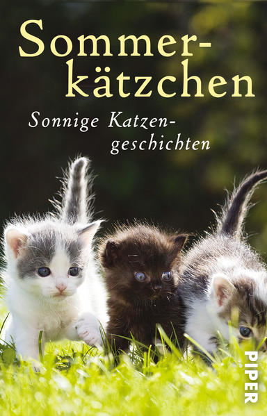 Sommerkätzchen