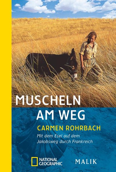 Muscheln am Weg