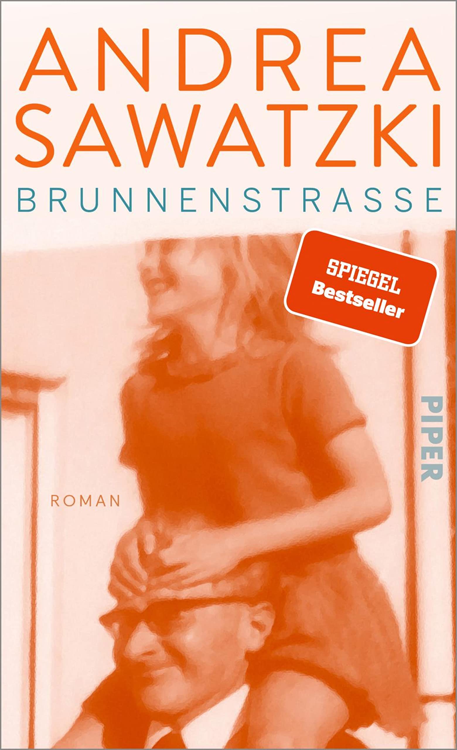 Brunnenstraße: Roman