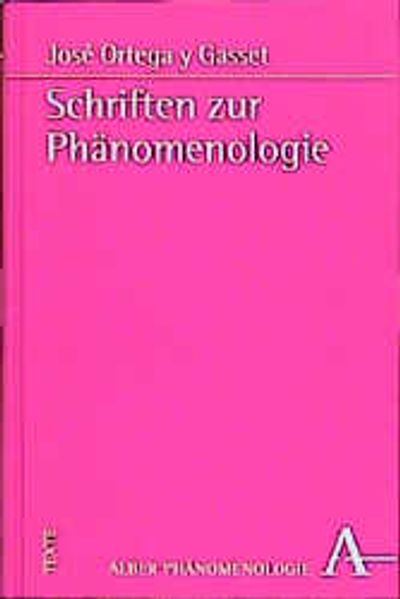 Schriften zur Phänomenologie