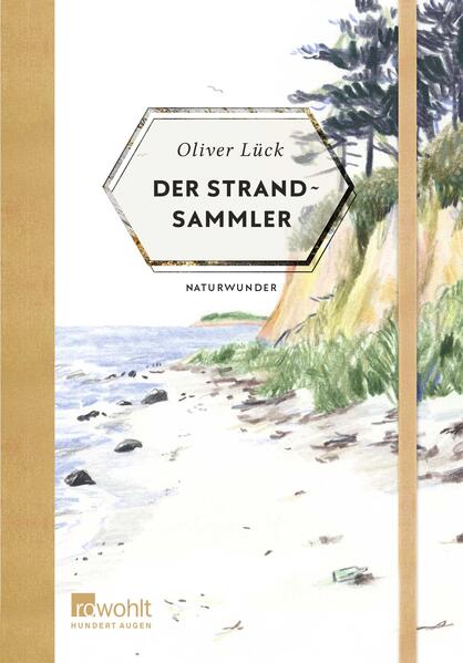 Der Strandsammler