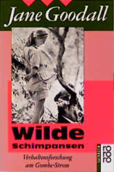 Wilde Schimpansen