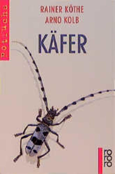 Käfer