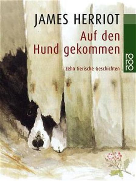 Auf den Hund gekommen