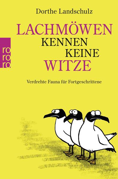 Lachmöwen kennen keine Witze
