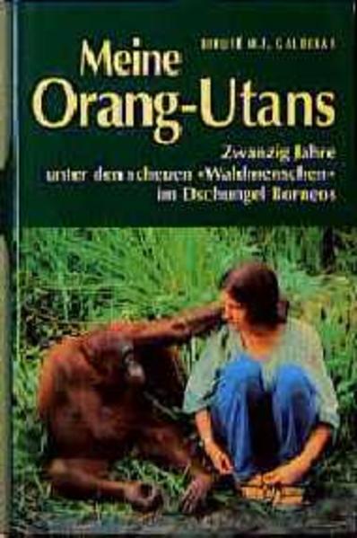 Meine Orang Utans